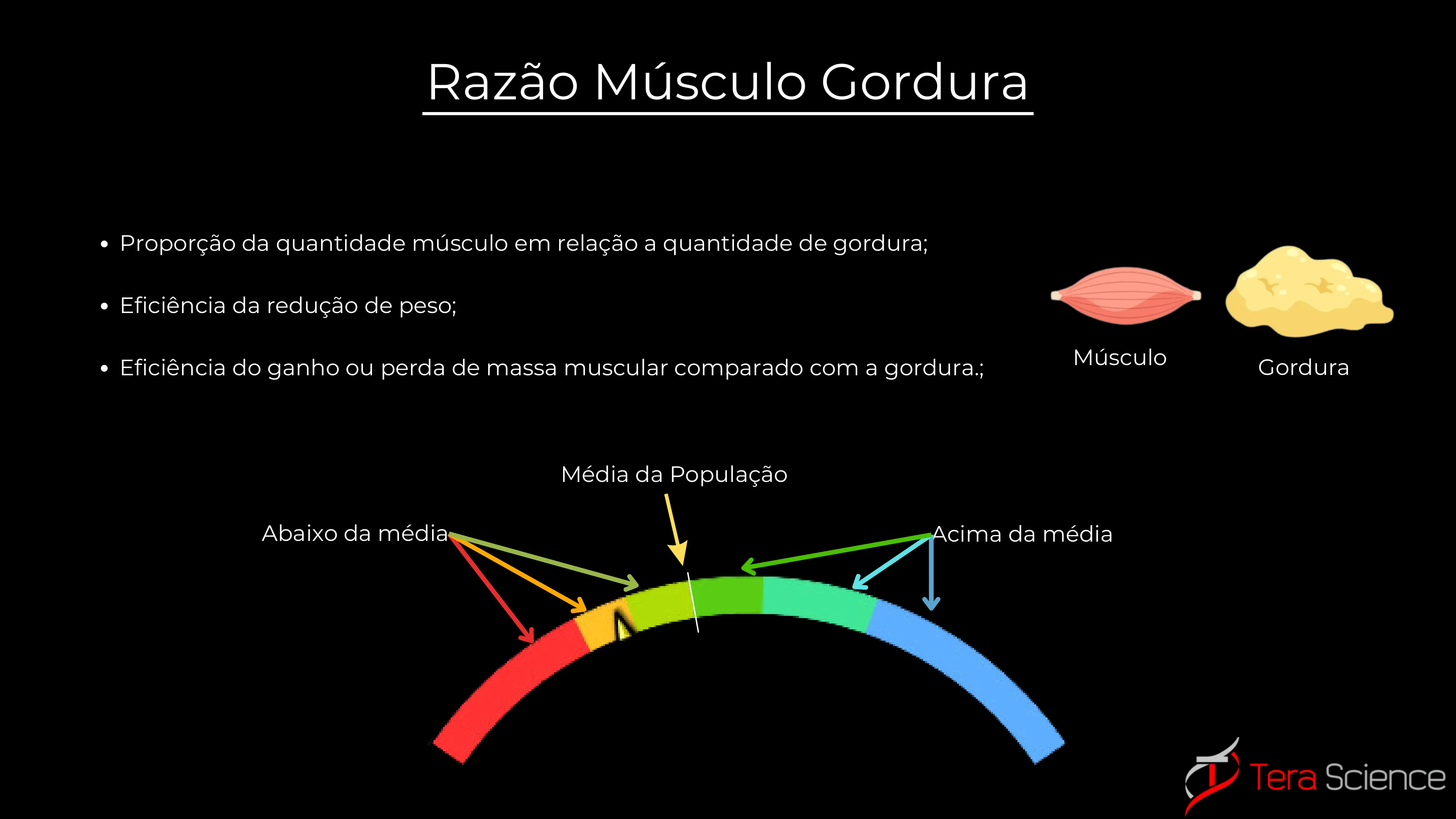 Razão Músculo Gordura